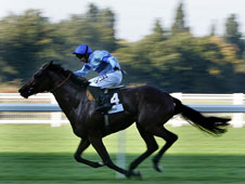 Kite Wood has driftet out to [4.5] and that price interests Paul Jacobs