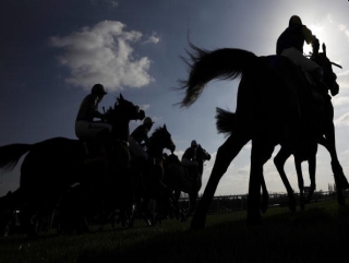 It's Friday, so Irish racing comes from Dundalk this evening.