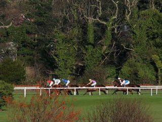 Gordon has a trio of horses in action at Leopardstown on Sunday
