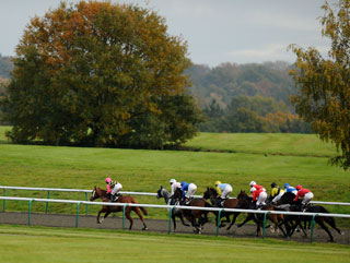 A couple of horses from Lingfield last week caught Paul's eye