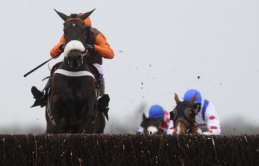 Long Run wins the Denman Chase