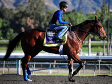 Lookin At Lucky is Graham's idea of a Breeders' Cup Juvenile winner