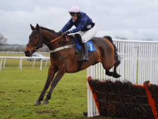 Sue Smith's Mr Moonshine