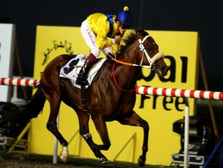 Can Musir (pictured) get the better of last year's winner Presvis?