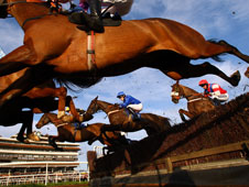 HID Race of the Day Preview
