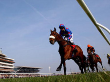 HID Race of the Day Preview
