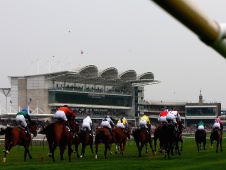 HID Carl Harris’ Daily Racing Tips