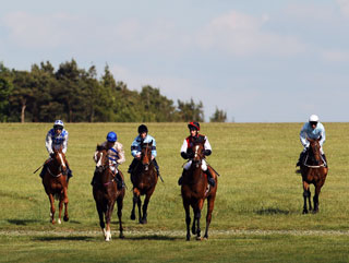 Newmarket the venue for top racing this weekend