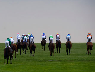 002 Timeform UK SmartPlays