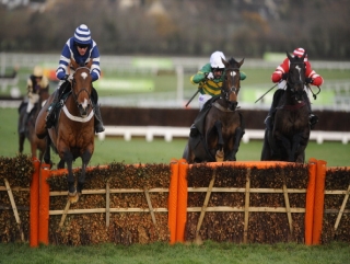 Success was sweet for Oscar Whisky at Cheltenham.