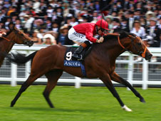 HID Race of the Day Preview