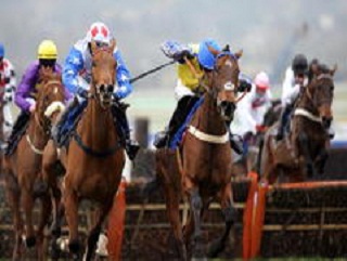 Peddlers Cross looks set to go straight to Cheltenham for the Arkle Trophy