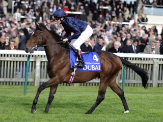 Roderic O'Connor: Successful in last year's Criterium International before landing the Irish 2000 Guineas in 2011