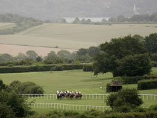 HID Race of the Day Preview
