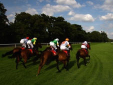 HID Race of the Day Preview