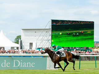 Is Sarafina a worthy favourite?