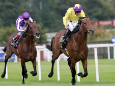 Sea The Stars is now recognised as one of the greatest horses in decades.