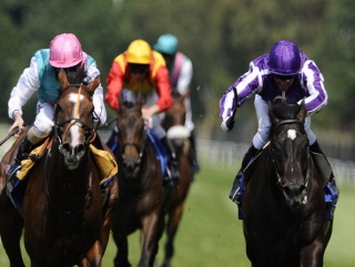 So You Think (right) is currently favourite for the Dubai World Cup 