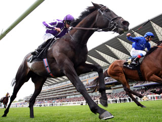 So-You-Think-at-Ascot.jpg