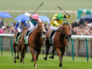 Special Duty (left) wins the 1,000 Guineas from Jacqueline Quest, can she repeat at Newmarket in the Falmouth? 