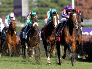 St Nicholas Abbey winning the Turf.