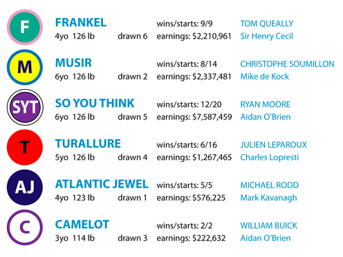 Timeform Mile Challenge Runners.png