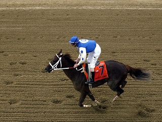 003 Timeform US SmartPlays