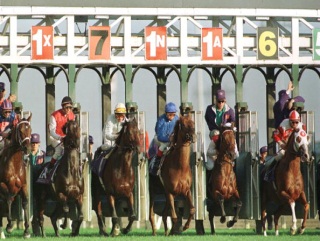 003 Timeform US SmartPlays