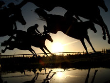 HID Carl Harris’ Daily Racing Tips