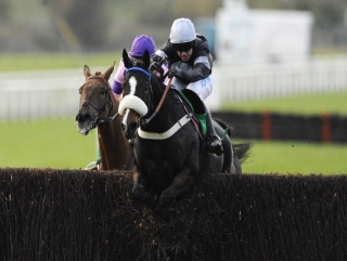 Weird Al could be in line for a tilt the Gold Cup.