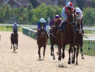 Wolverhampton Racecourse.