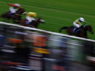 Will Worcester prove fruitful for David on Friday afternoon?