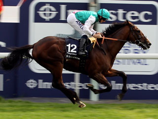 Workforce crosses the line to win the 2010 Derby