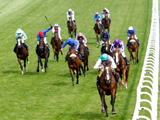 Workforce leads the Derby field home