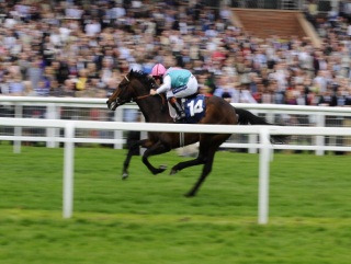 Newbury winner World Domination is favourite for the Derby
