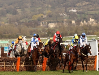Can Voler La Vedette serve it up to Big Buck's?