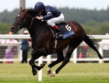 HID Carl Harris’ Daily Racing Tips