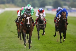 HID Race of the Day Preview