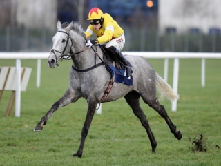 Al Ferof remains with the strongest credentials for Cheltenham.