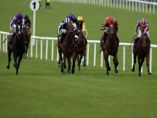 Alrefd Nobel is one of Wayne Bailey's two-year-old's to follow