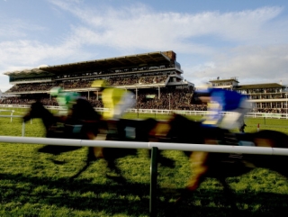 Knockara Beau has opening day target.