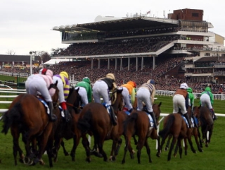 First Lieutenant is on track for Cheltenham.