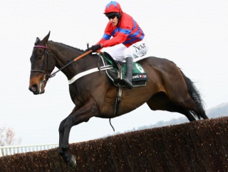 Sprinter Sacre is favourite for the 2013 Champion Chase