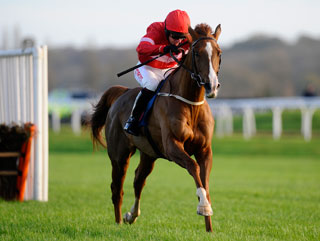 Urbain de Sivola - a value Triumph Hurdle bet at 18?