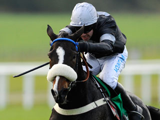 Weird Al runs best when fresh and is sure to be well rested ahead of the 2012 Gold Cup 