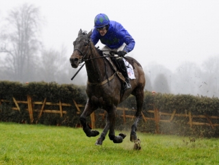Hurricane Fly winning at Leopardstown.