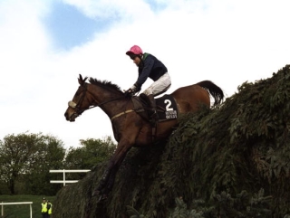 Rough Quest wins the race in 1996