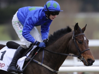 Hurricane Fly will make his reappearance at Leopardstown.