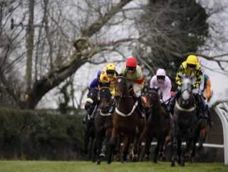 Montbazon was successful at Plumpton.