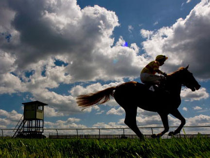 Newmarket is set for blue skies on day one